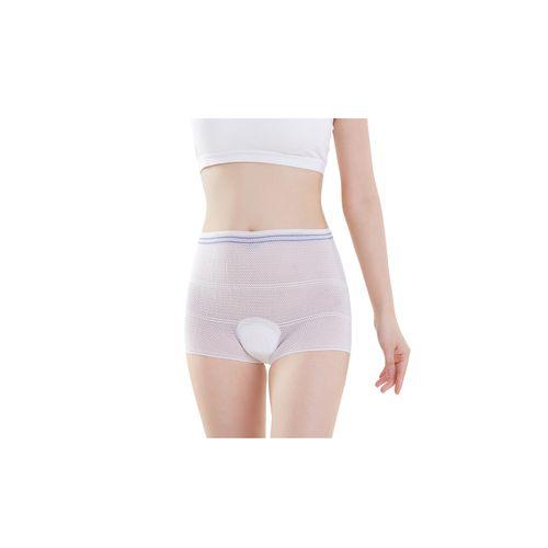 Postpartum Mesh Panties 5pcs